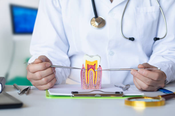 Best Pediatric Emergency Dentist in Buckhead Ridge, FL